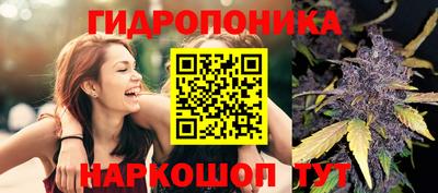 метадон Лесосибирск