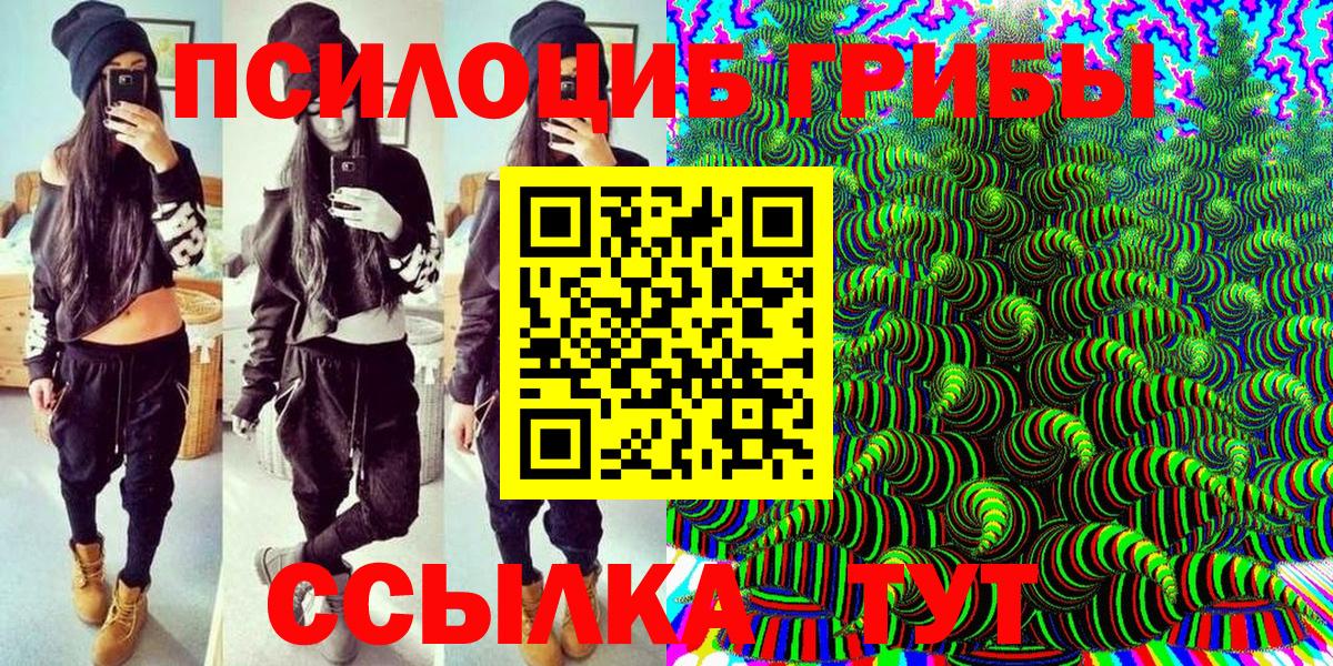 Псилоцибиновые грибы мицелий  закладка  Салехард  Вход с VPN 